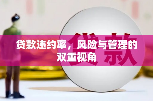 磴口贷款违约率，风险与管理的双重视角