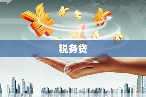 磴口税务贷