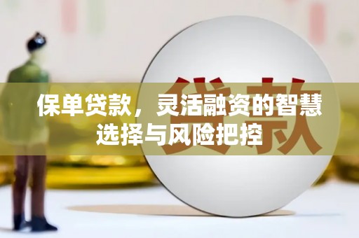 磴口保单贷款，灵活融资的智慧选择与风险把控