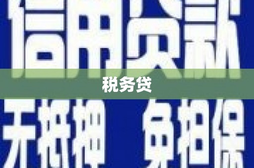 磴口税务贷