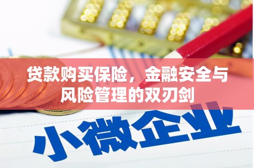 磴口贷款购买保险，金融安全与风险管理的双刃剑