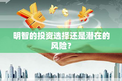 磴口明智的投资选择还是潜在的风险？