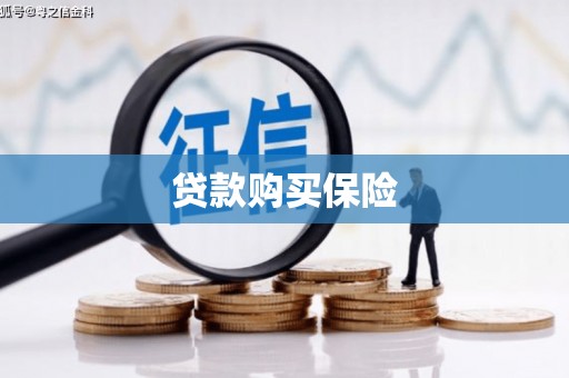 磴口贷款购买保险