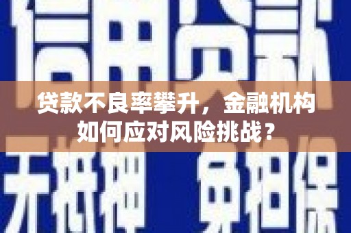 磴口贷款不良率攀升，金融机构如何应对风险挑战？