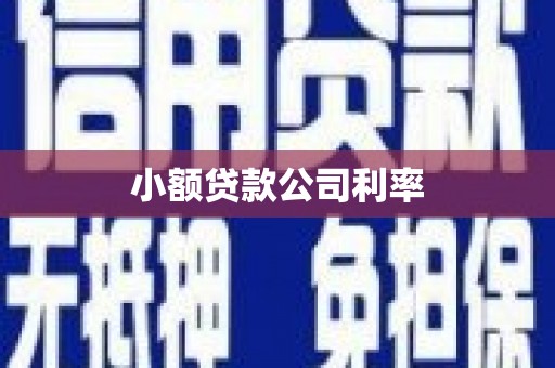 磴口小额贷款公司利率