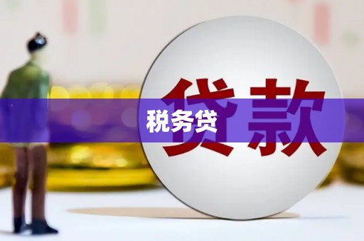 磴口税务贷