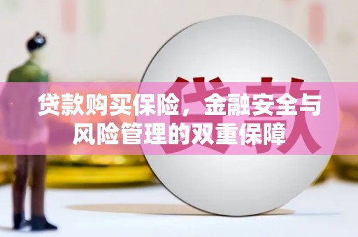 磴口贷款购买保险，金融安全与风险管理的双重保障
