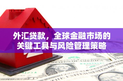 磴口外汇贷款，全球金融市场的关键工具与风险管理策略