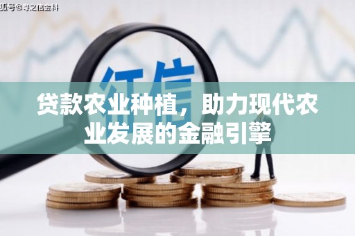 磴口贷款农业种植，助力现代农业发展的金融引擎