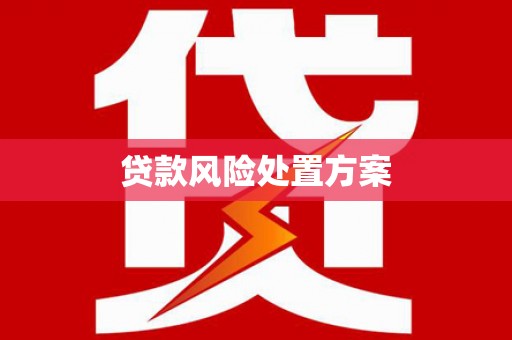 磴口贷款风险处置方案