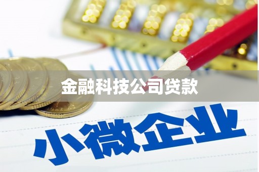 磴口金融科技公司贷款