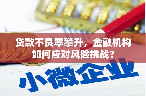 磴口贷款不良率攀升，金融机构如何应对风险挑战？