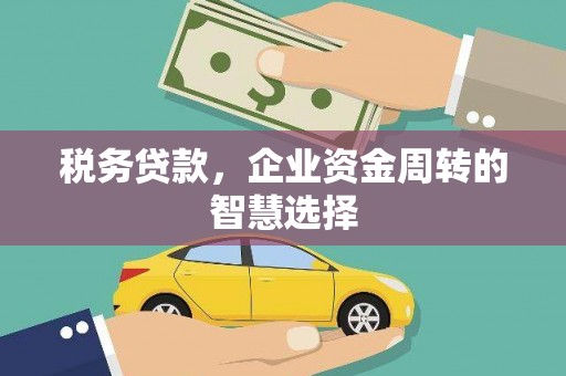 磴口税务贷款，企业资金周转的智慧选择