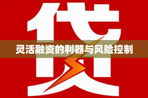 磴口灵活融资的利器与风险控制
