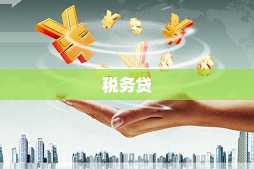 磴口税务贷