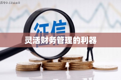 磴口灵活财务管理的利器
