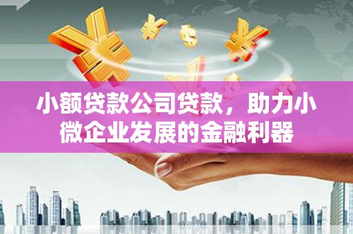 磴口小额贷款公司贷款，助力小微企业发展的金融利器