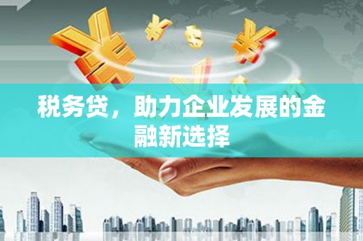 磴口税务贷，助力企业发展的金融新选择