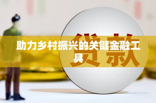 磴口助力乡村振兴的关键金融工具