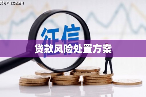磴口贷款风险处置方案