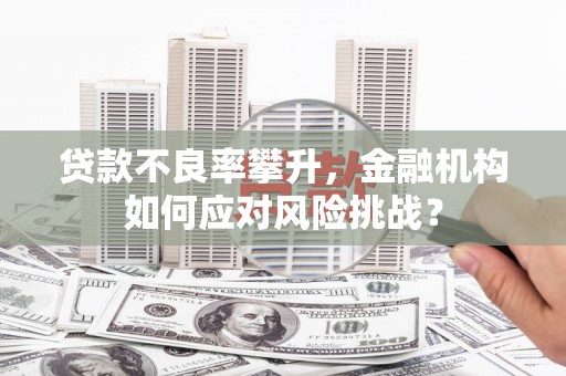 磴口贷款不良率攀升，金融机构如何应对风险挑战？