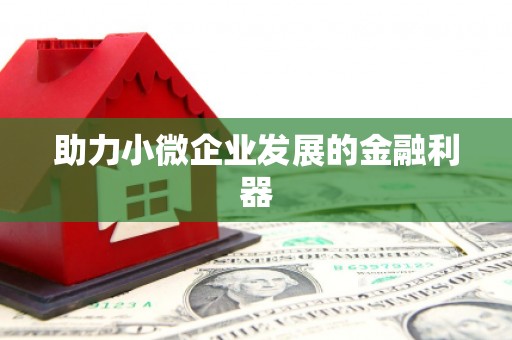 磴口助力小微企业发展的金融利器