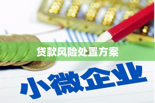 磴口贷款风险处置方案