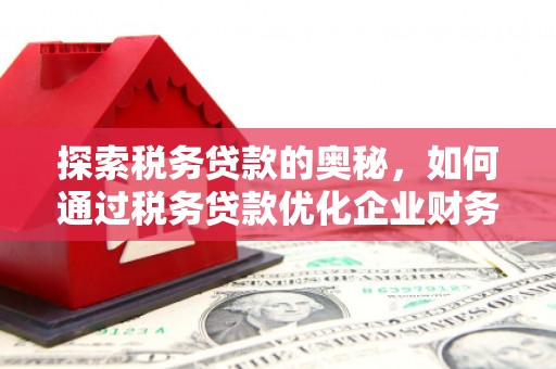 磴口探索税务贷款的奥秘，如何通过税务贷款优化企业财务