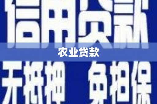 磴口农业贷款