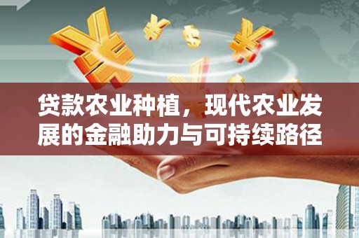 磴口贷款农业种植，现代农业发展的金融助力与可持续路径