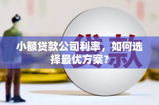 磴口小额贷款公司利率，如何选择最优方案？