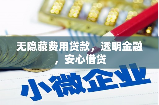 磴口无隐藏费用贷款，透明金融，安心借贷