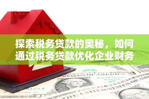 磴口探索税务贷款的奥秘，如何通过税务贷款优化企业财务