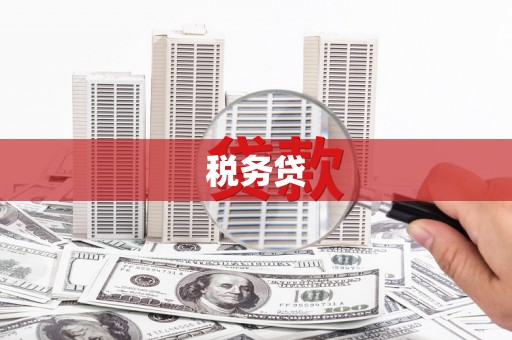 磴口税务贷