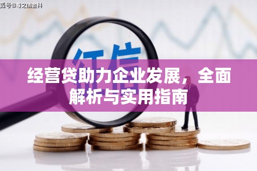 磴口经营贷助力企业发展，全面解析与实用指南