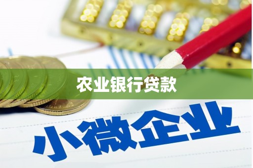 磴口农业银行贷款