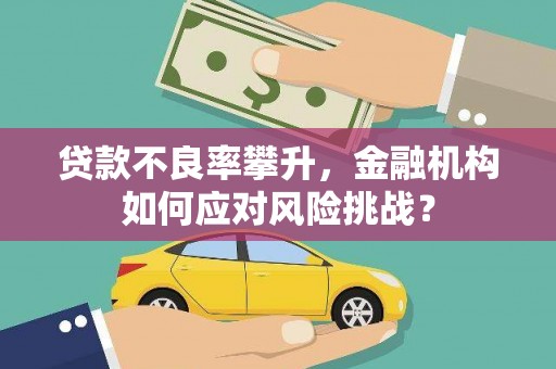 磴口贷款不良率攀升，金融机构如何应对风险挑战？