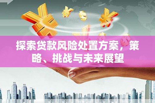 磴口探索贷款风险处置方案，策略、挑战与未来展望