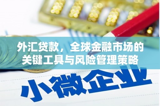 磴口外汇贷款，全球金融市场的关键工具与风险管理策略