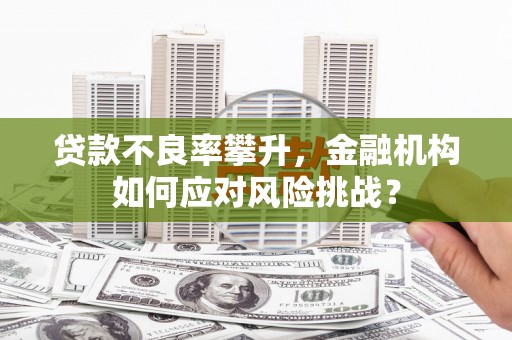 磴口贷款不良率攀升，金融机构如何应对风险挑战？