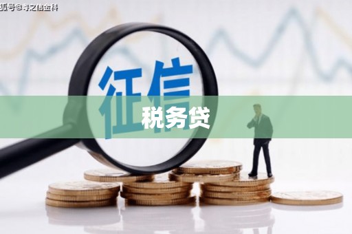 磴口税务贷
