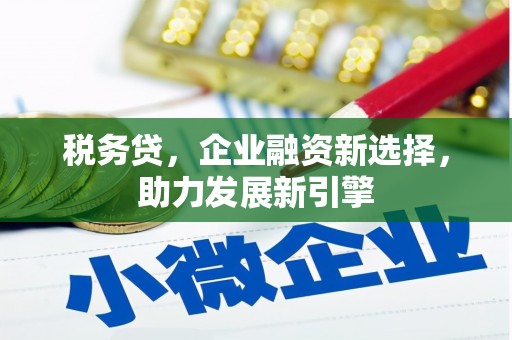 磴口税务贷，企业融资新选择，助力发展新引擎