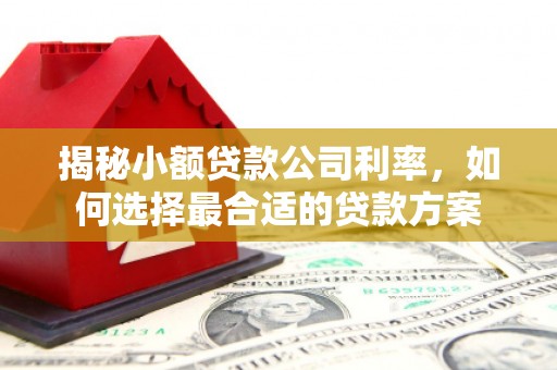磴口揭秘小额贷款公司利率，如何选择最合适的贷款方案