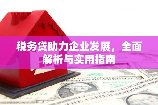 磴口税务贷助力企业发展，全面解析与实用指南
