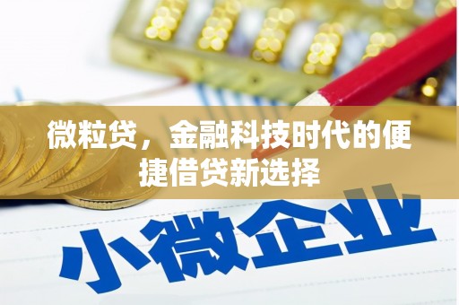 磴口微粒贷，金融科技时代的便捷借贷新选择