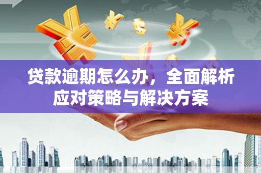 磴口贷款逾期怎么办，全面解析应对策略与解决方案