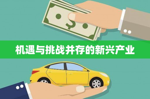 磴口机遇与挑战并存的新兴产业