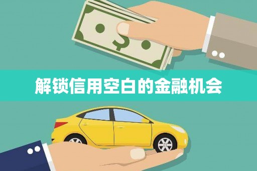 磴口解锁信用空白的金融机会